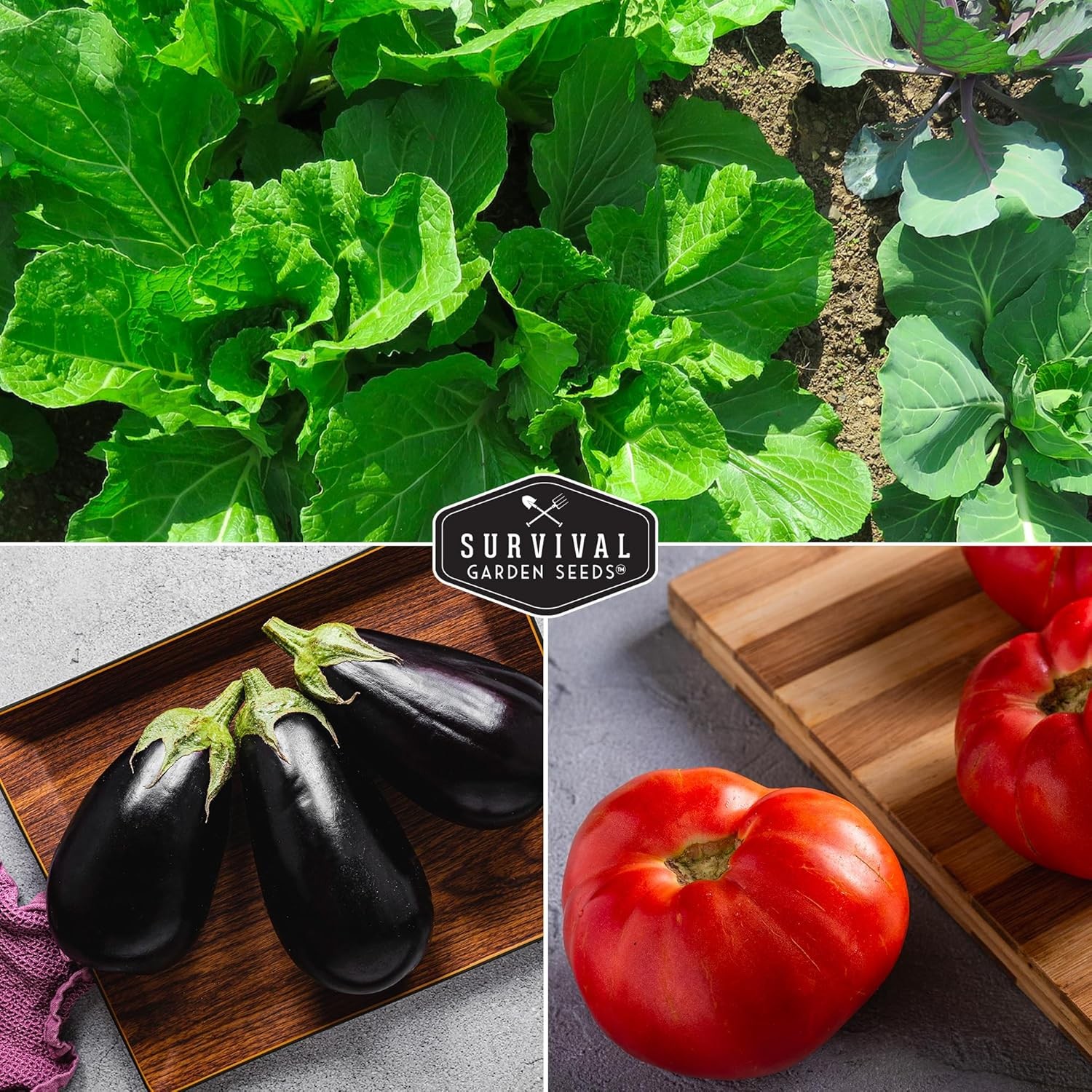 Survival Garden Seeds Vegetable Collection Seed Vault – Multicolor