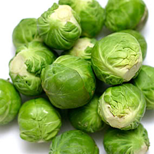 200+ Brussel Sprouts Seeds Catskill Brussel Sprouts (Brassica oleracea) USA