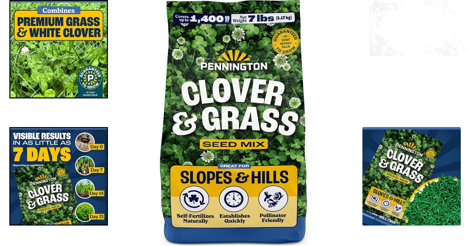 Clover and Grass Seed Mix 7 lb Pollinator-Friendly Lawns Grass Clover Blend