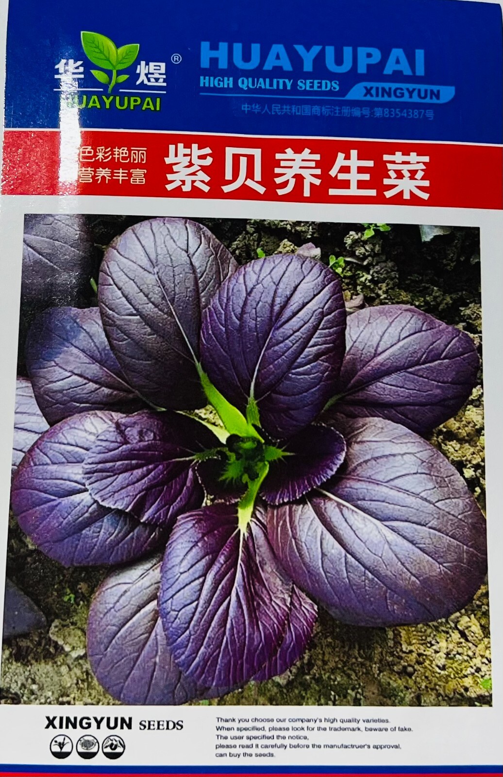 Non-GMO Asian Vegetable Bok Choy Purple Seeds（紫青江菜）500+Seeds 2023NEW!