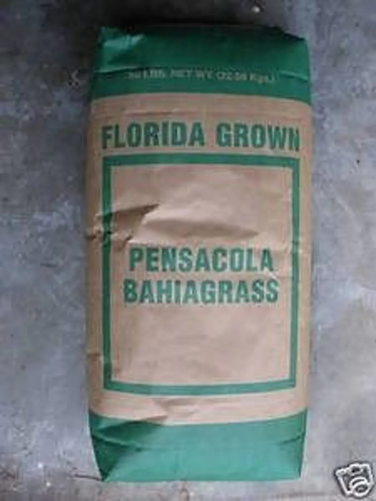 Pensacola Bahia Pasture Grass Seed – RAW