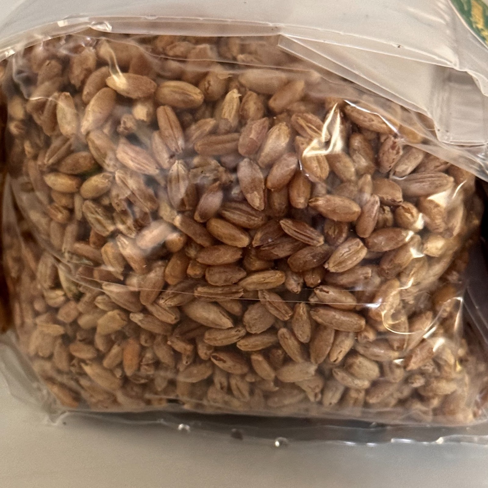 *Flash Sale* Sterilized Grain Bag W Injection Port – 1lb Org Rye Unicorn 4T