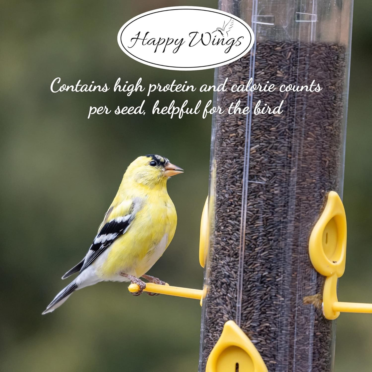 Happy Wings Nyjer/Thistle Seeds Wild Bird Food – 10 Pounds I No Grow Seed I Bird
