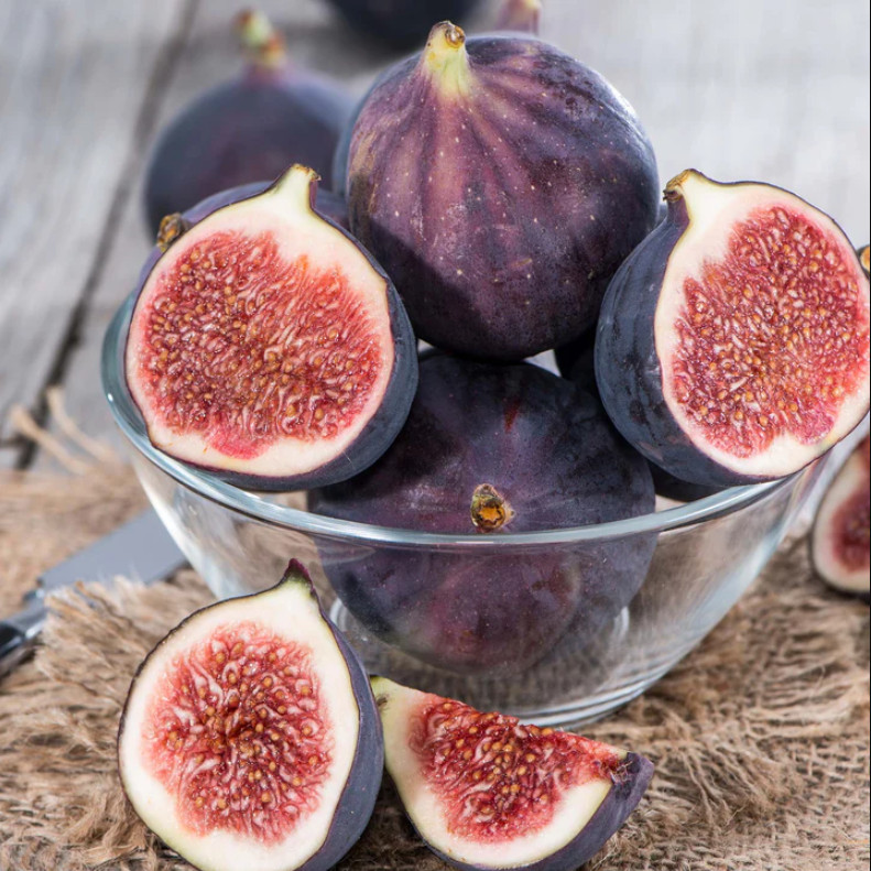 Set of 4 Live Fignomenal Fig Plants – 4–6” Tall – No Pot – Edible Fruit Plant