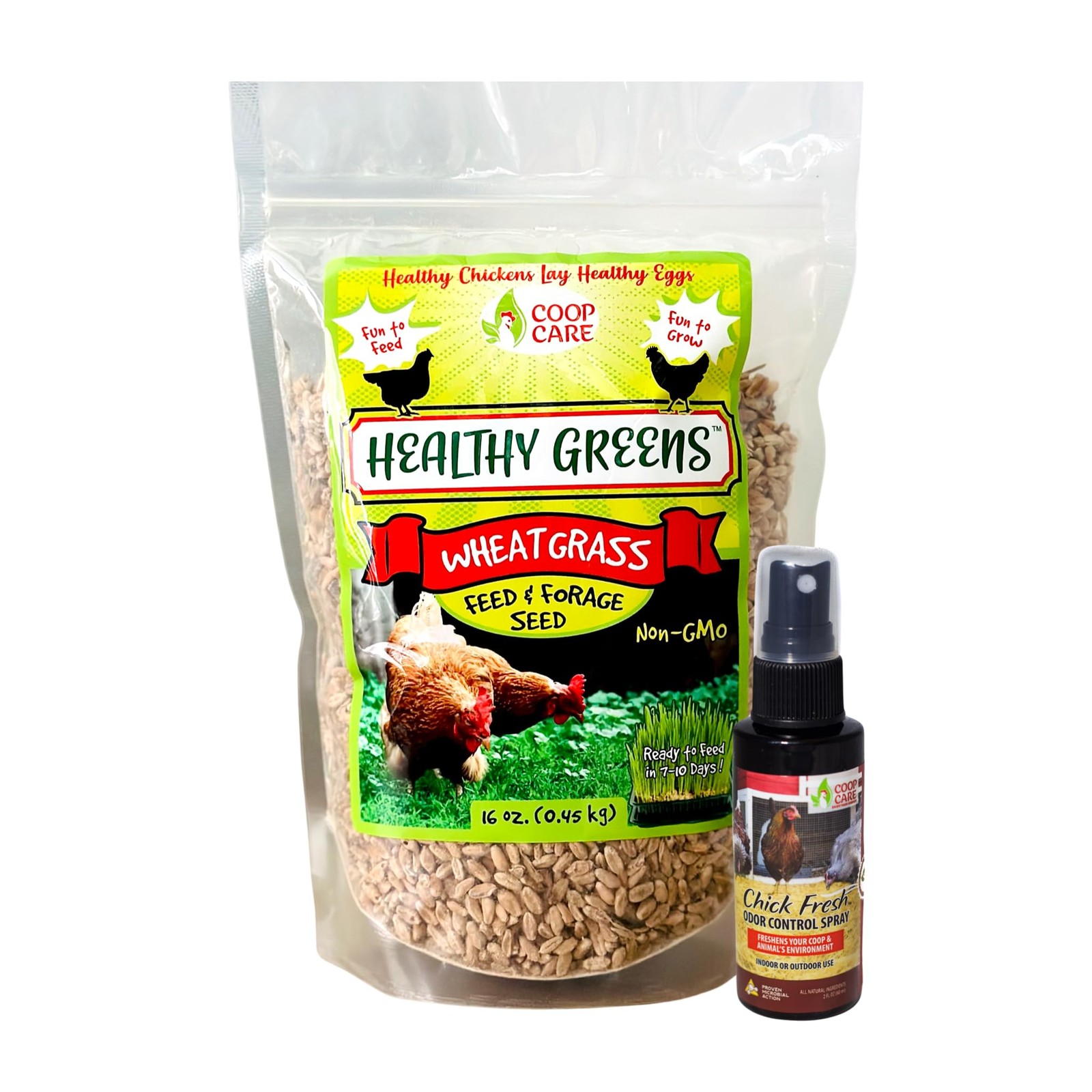 Wheatgrass Seed for Chickens, Cats, and Dogs NonGMO Planting 1lb Bag