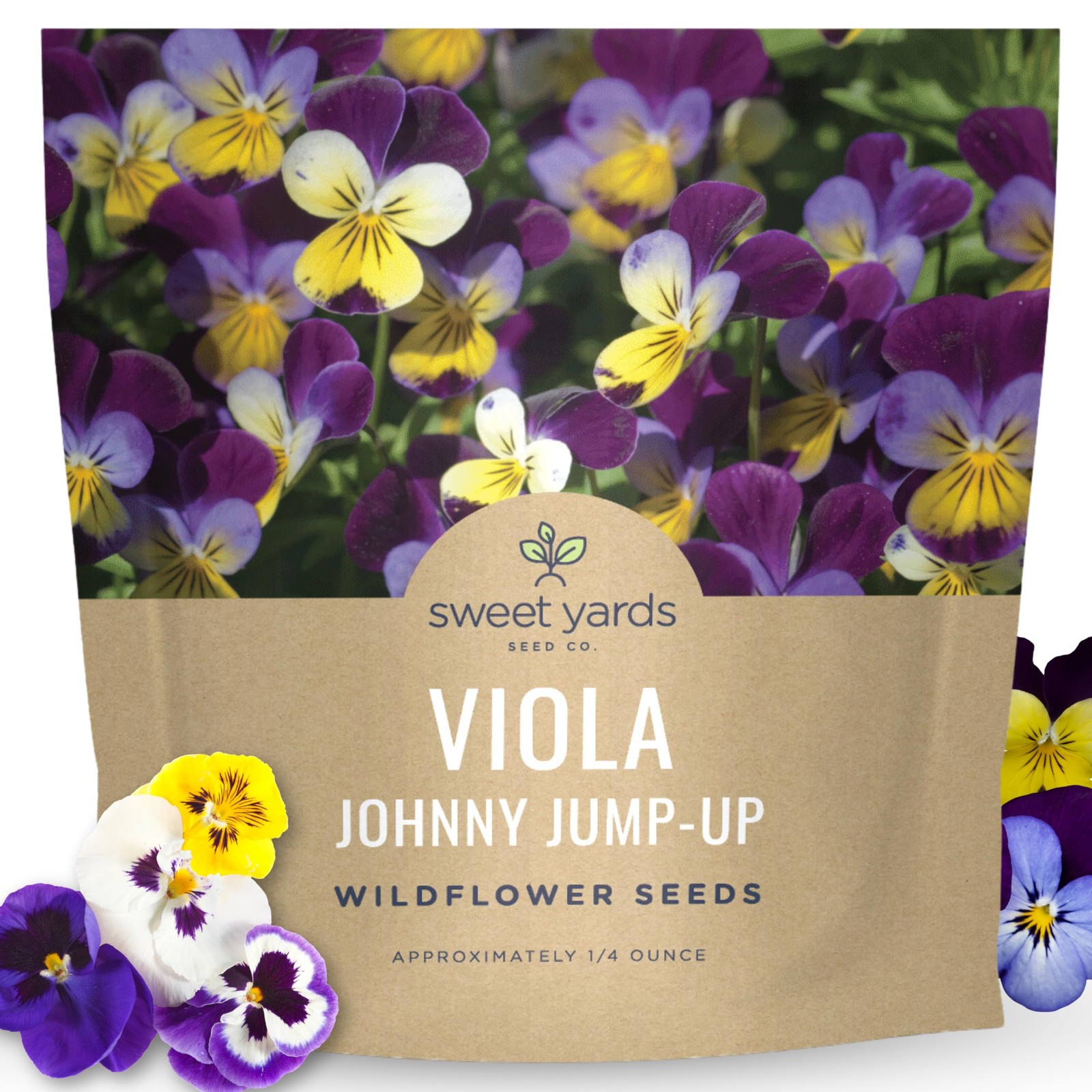 Viola Flower Seeds – 10,000 Tricolor Seeds for Planting – 1/4 Ounce Packet