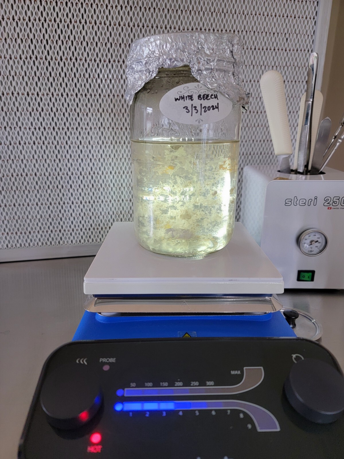 Variety Mushroom Liquid Culture Syringe 10mL+ Lions Mane, Oysters, Beech, Button