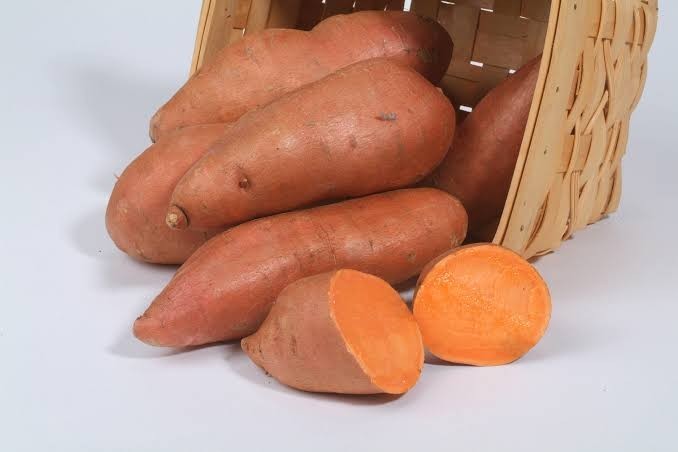 10 Orange Sweet Potato Slips Copper Jewel Variety–90 Days | Organic Luxury Slips