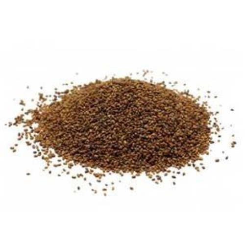 Nutritious 4 oz Alfalfa Sprouting Seeds – Grow Delicious Edible Sprouts at Home