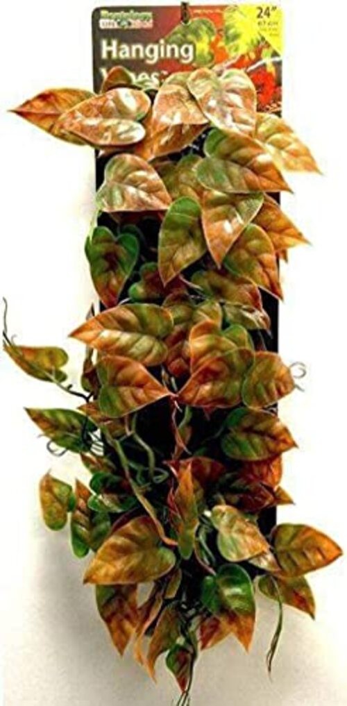 Reptology Decorative Hanging Terrarium 1 Count (Pack of 1) Green & Orange