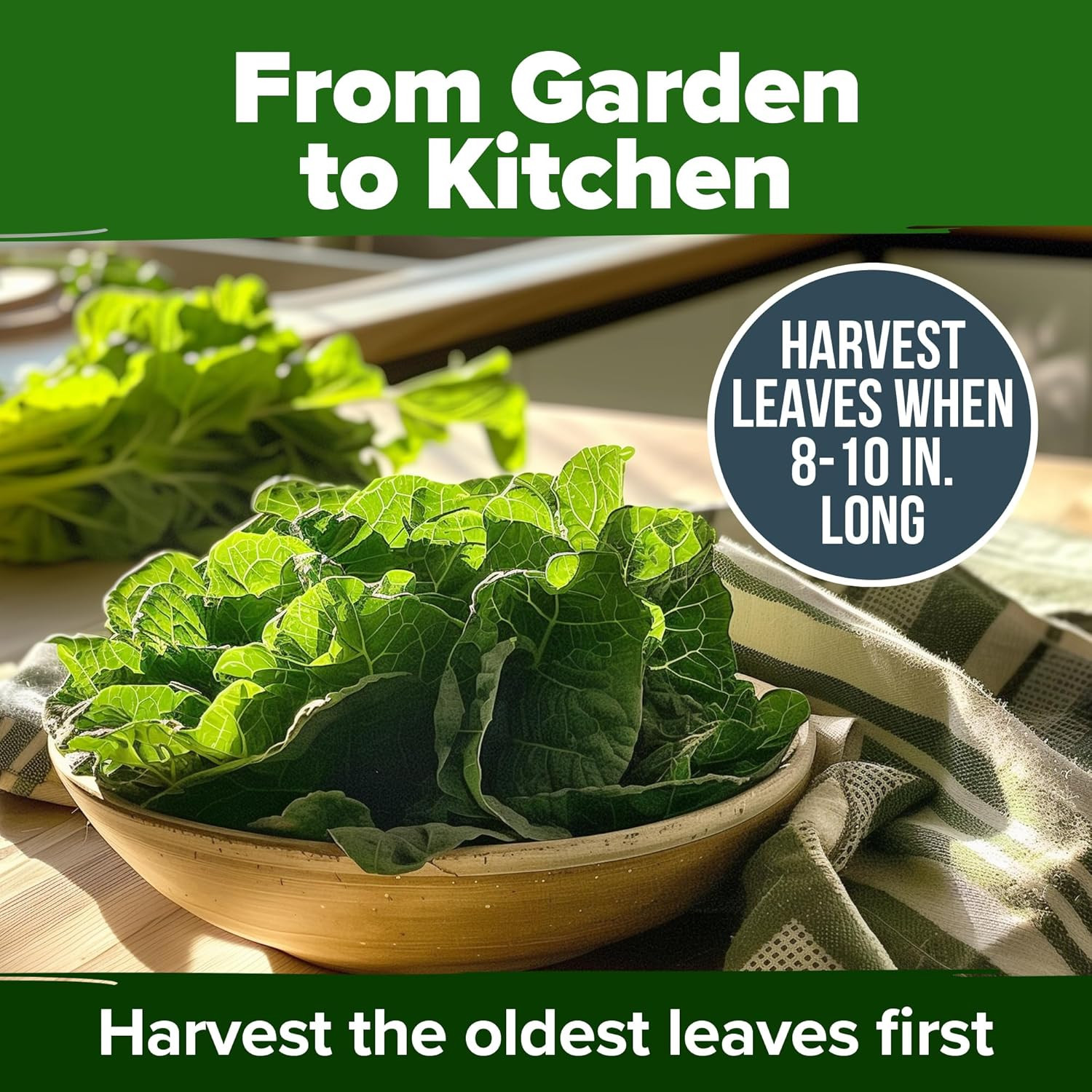 Vates Collard Green Seeds 600+ Heirloom Non-Gmo Seeds for Planting, High Germina