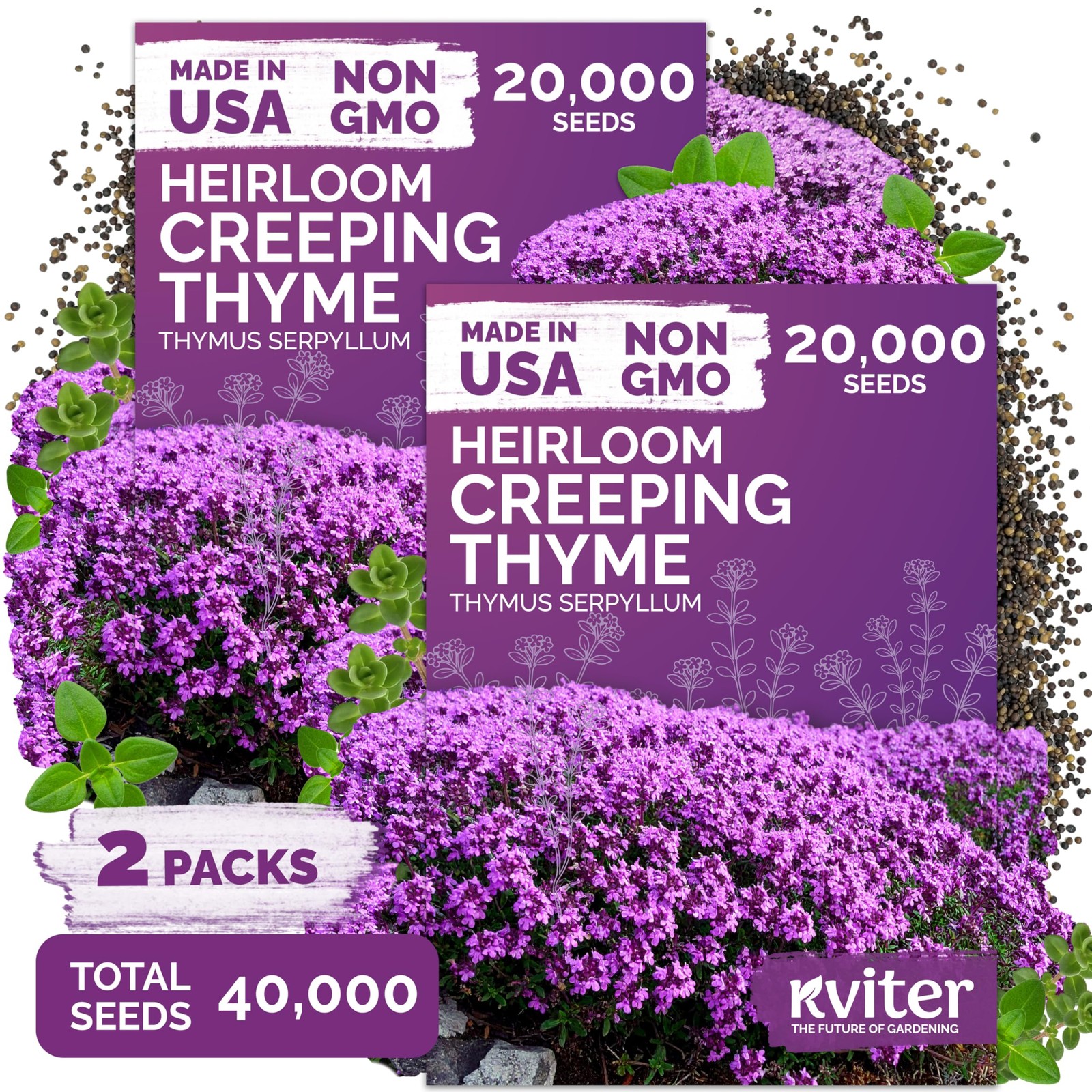 KVITER 40,000 Creeping Thyme Seeds (Thymus Serpyllum), 2 Pack
