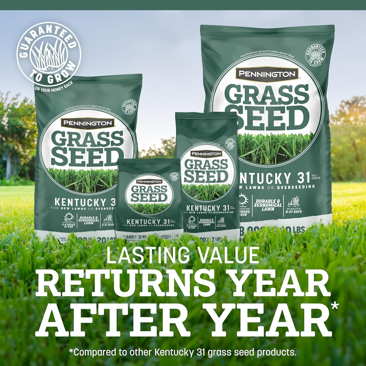 Penkoted Kentucky 31 Tall Fescue Grass Seed, 40 LB – Perfect for Your Lawn