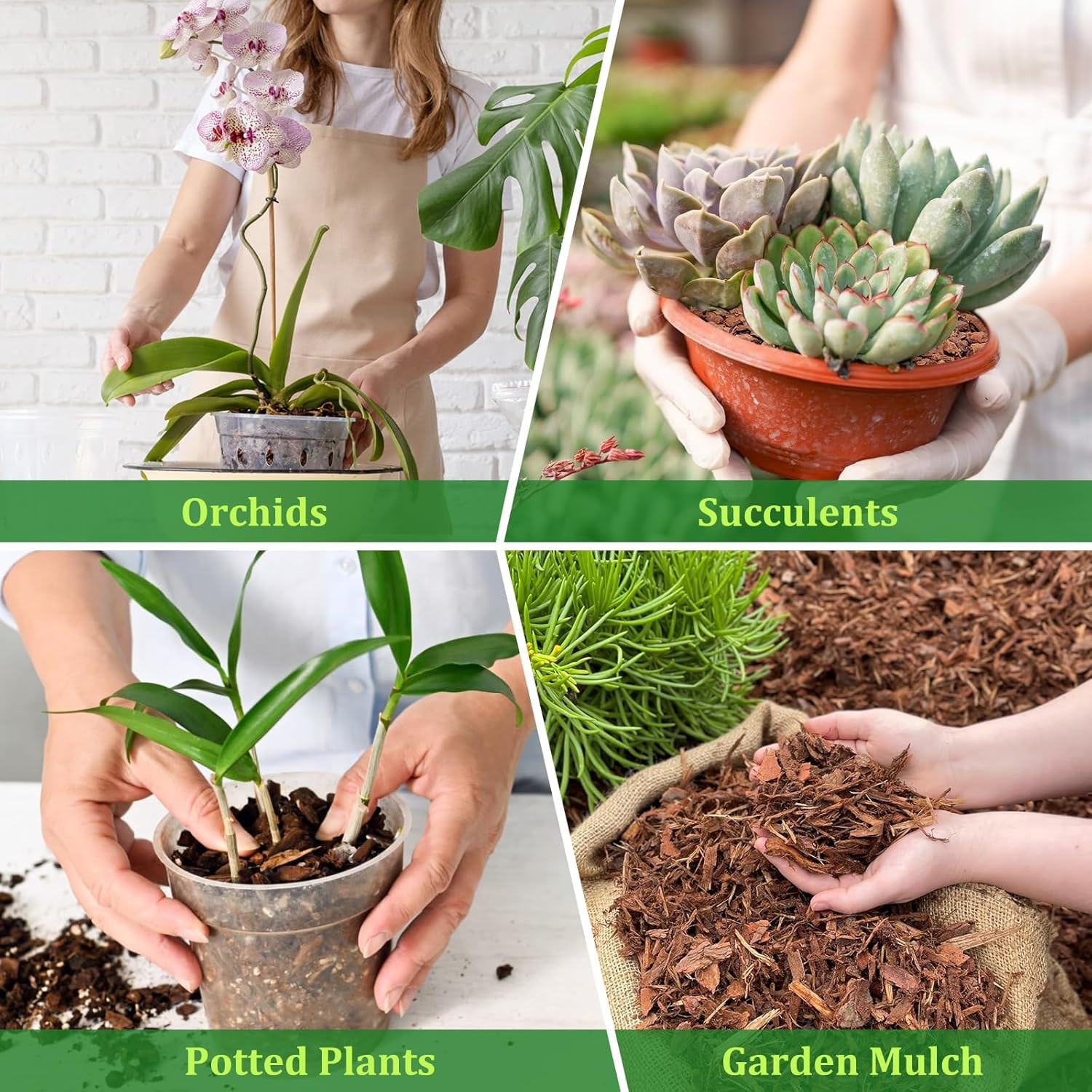 4 Quarts Organic Orchid Potting Bark- All Natural Orchid Bark Potting