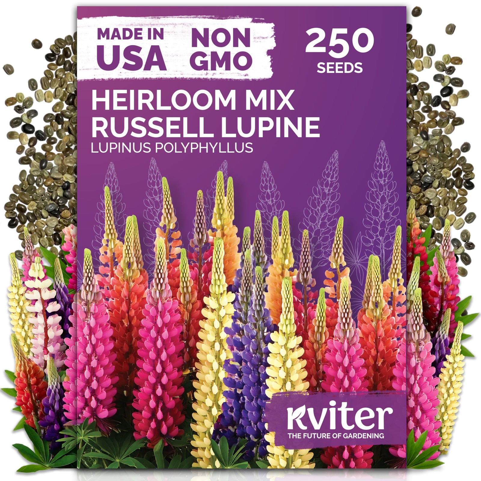 KVITER 250 Mix Russell Lupine Seeds (Lupinus Polyphyllus)