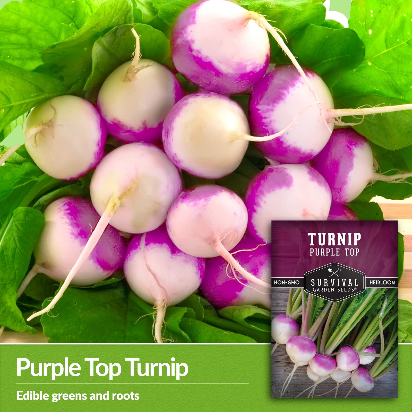 Heirloom Turnip Seeds – Non-GMO Purple Top for Home Gardens (2 Packs)