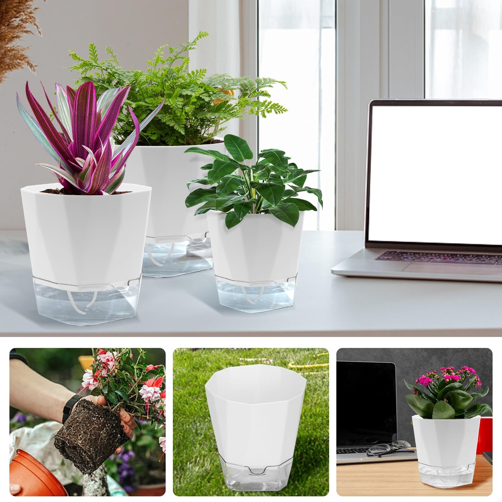 6 Pack Self Watering Plant Pot, 6.6/5 Inch Plastic Self Watering Pots for Ind…