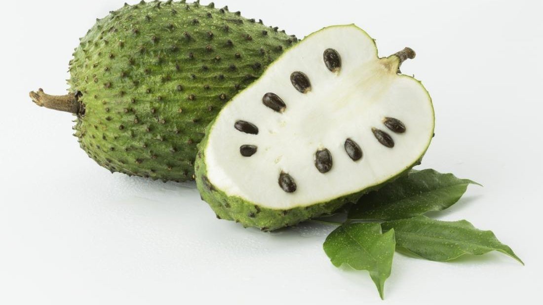 Soursop Seeds 20+ for Planting – Non-GMO Graviola Guanabana Seeds