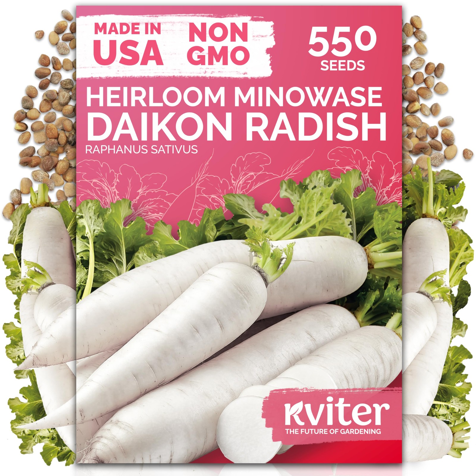KVITER 550 Daikon Minowase Radish Seeds (Raphanus Sativus)