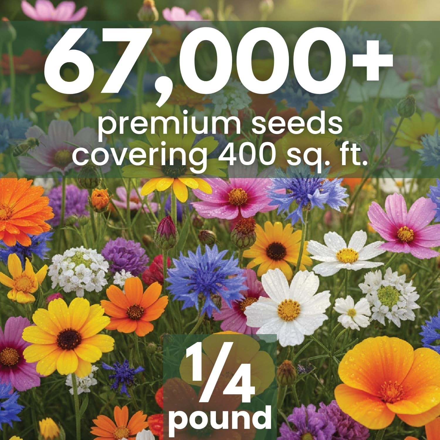 Transform Your Garden with 67,000 Quick-Blooming Annual Seeds – 4 Ounce Pack