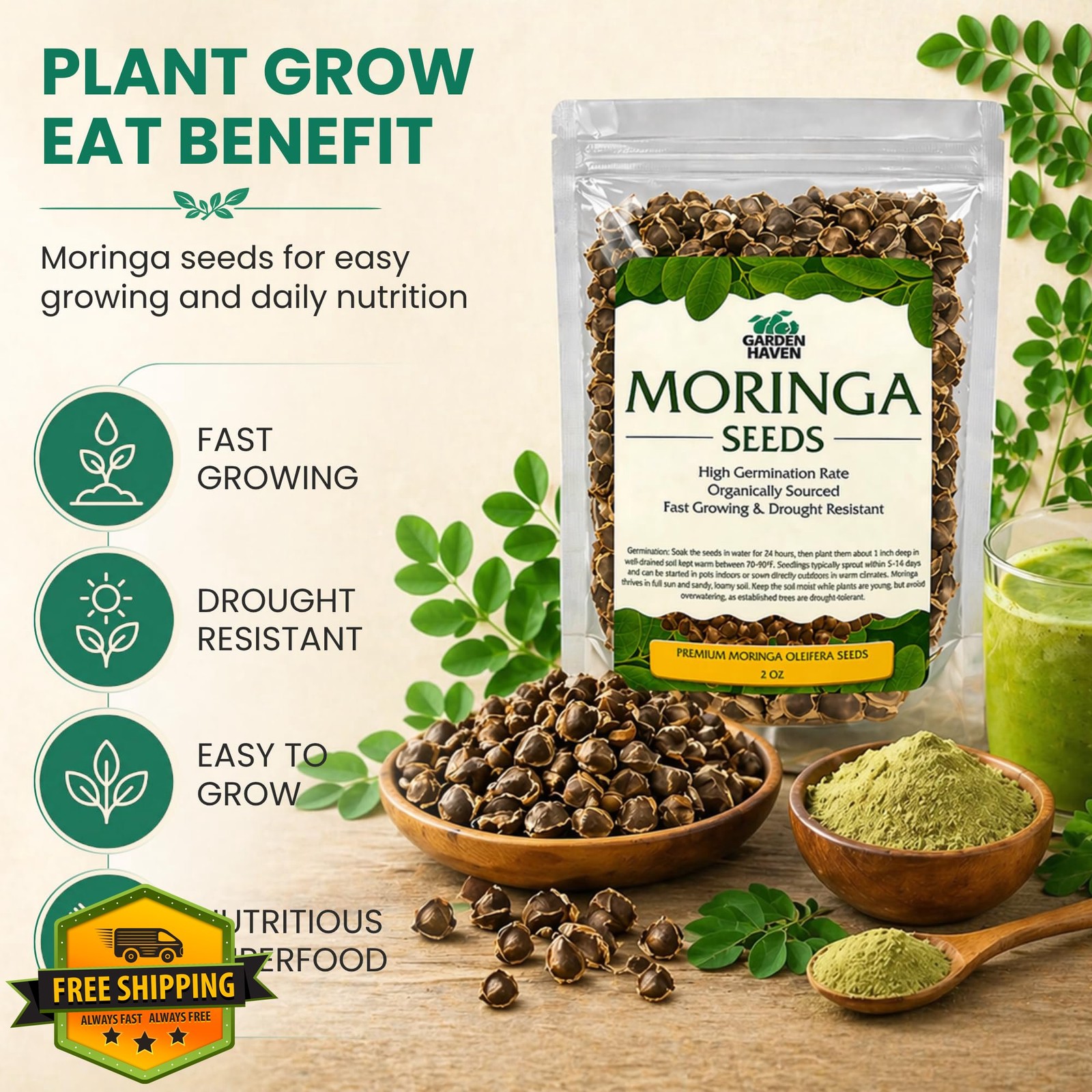 Garden Haven Moringa Seeds 2 oz 2 Pack