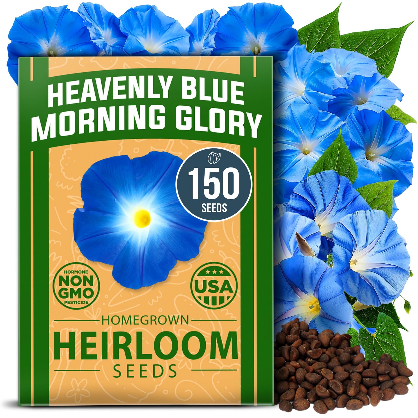 HOME GROWN Heavenly Blue Morning Glory – 150 Heirloom Seeds for 1-Pack, Green