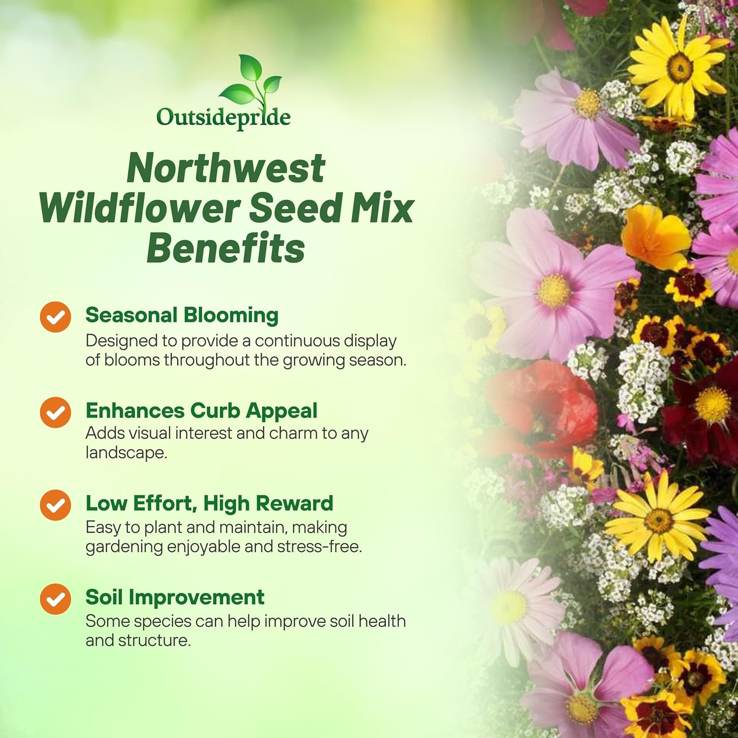 5 LBS Pacific Northwest wildflower seed mix from Outsidepride.