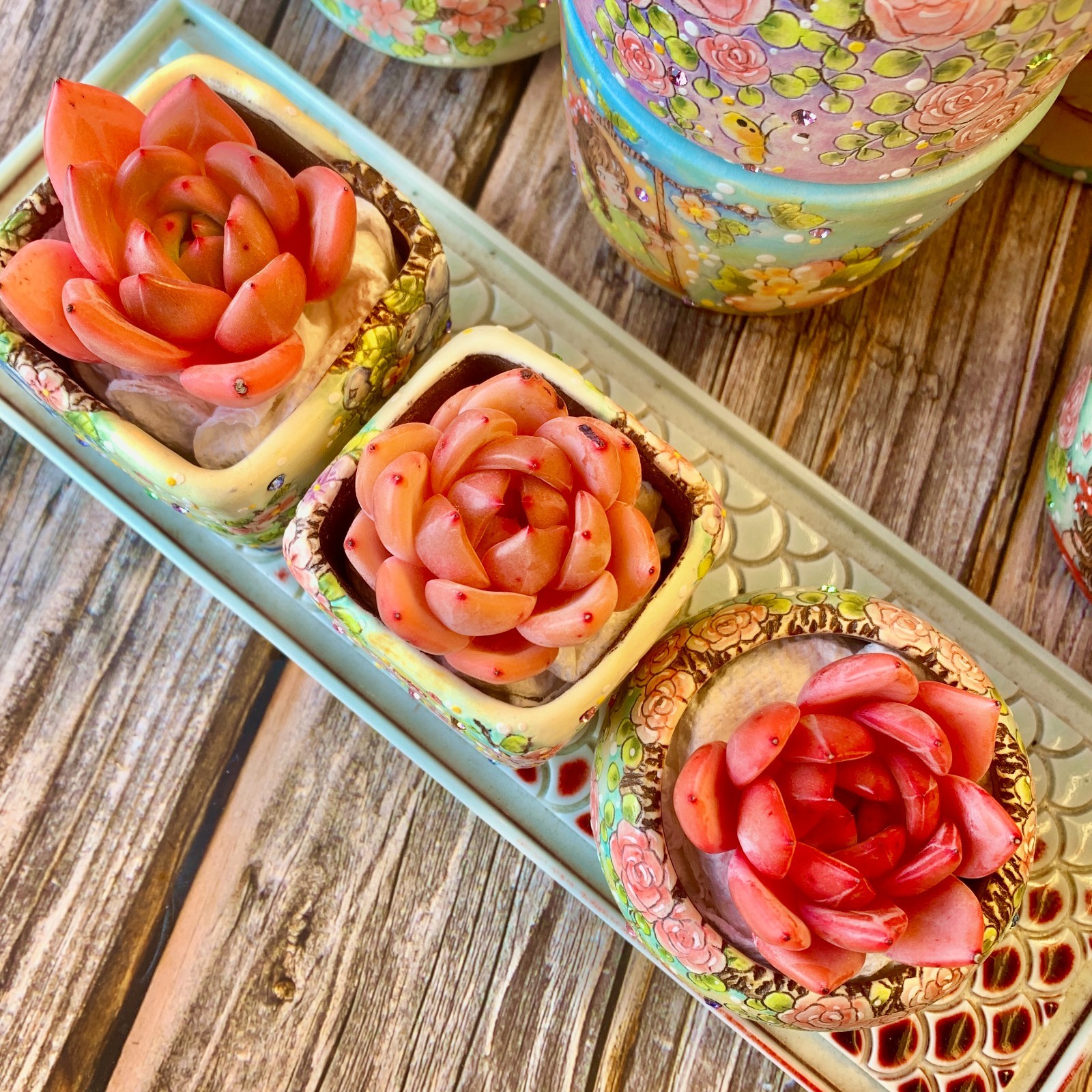Rare Live Pink Champagne Succulents, Bare Root ，Wedding Favors, Indoor succulent