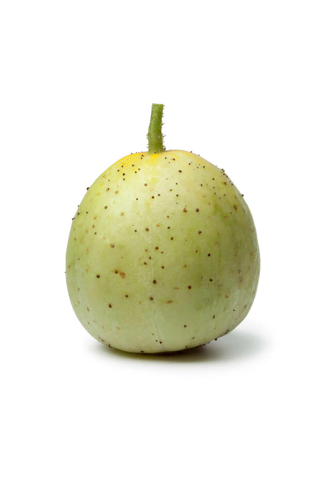 10 Crystal Apple Cucumber Seeds (Cucumis Sativus) | Non-GMO Heirloom Vegetable