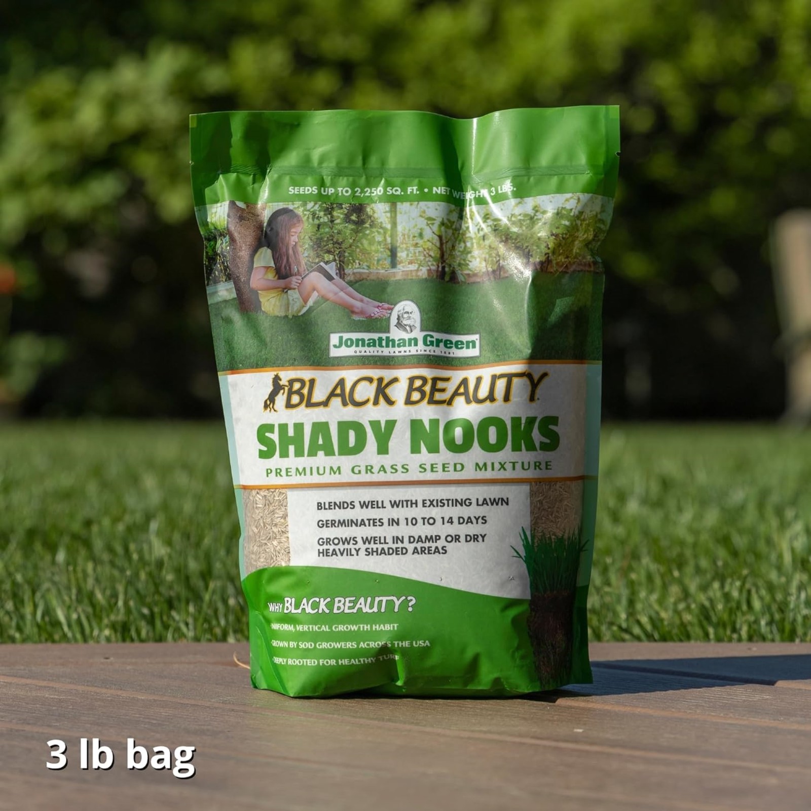 Jonathan Green Black Beauty Shady Nooks Premium Grass Seed Mixture, 3lbs