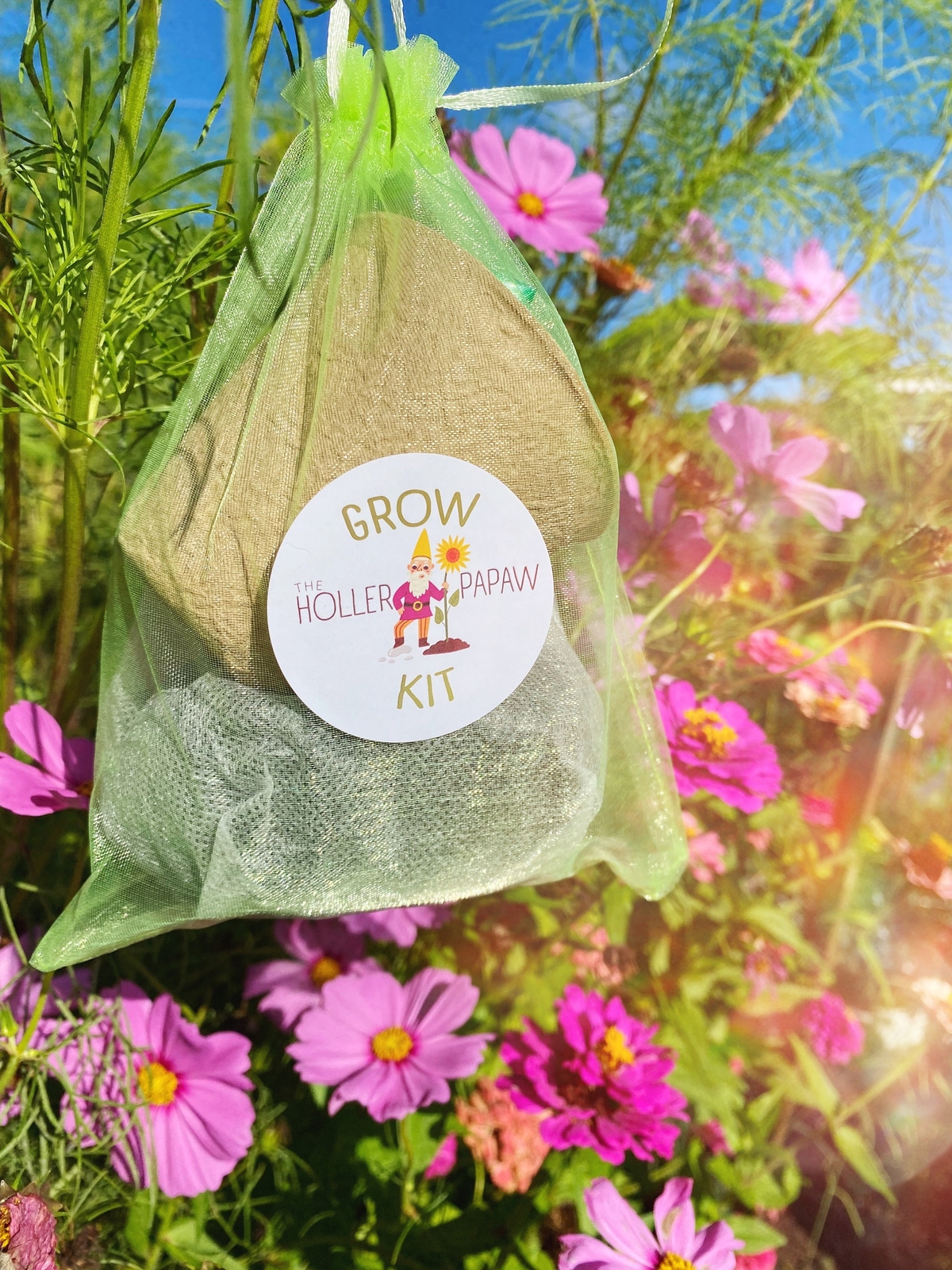 Indoor Pepper Grow Kit Gift Set – Heirloom (23 varieties) – Free Shipping!