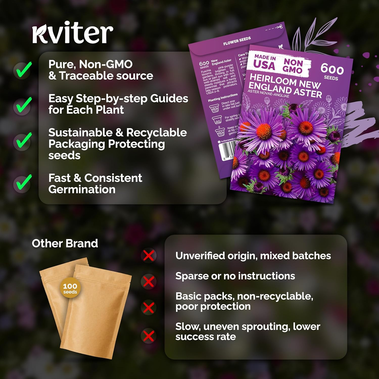 600 New England Aster Seeds for Planting (Aster Novae-Angliae) – Purple Asters P