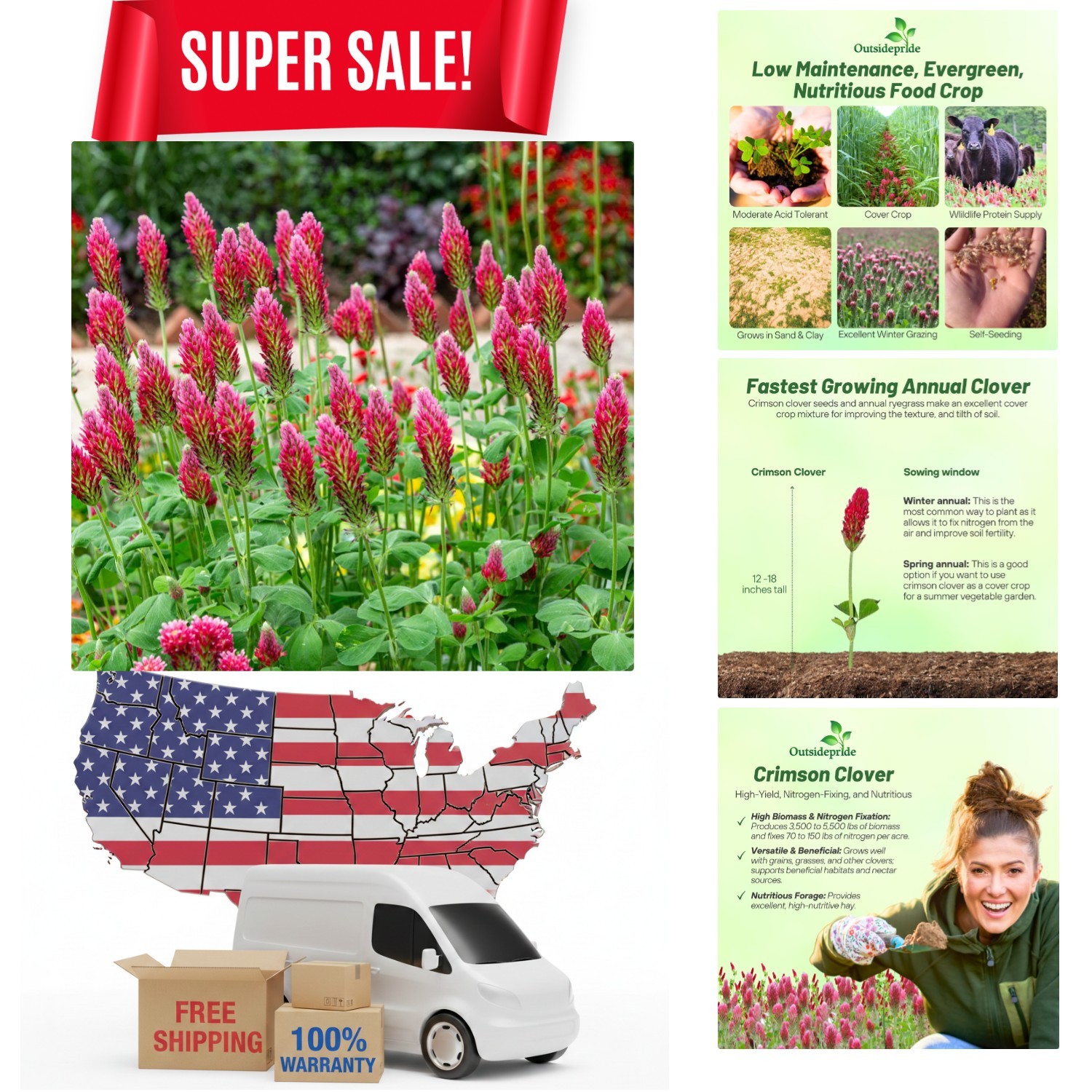 High-Protein 5 lb. Crimson Clover Seeds – Perfect for Winter Grazing & Wildlife
