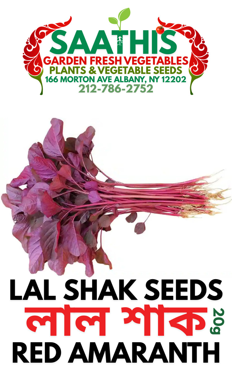Red Amaranth (Lal Shak) 10,000 Seeds for Planting ( 10 Grams ) লাল শাক