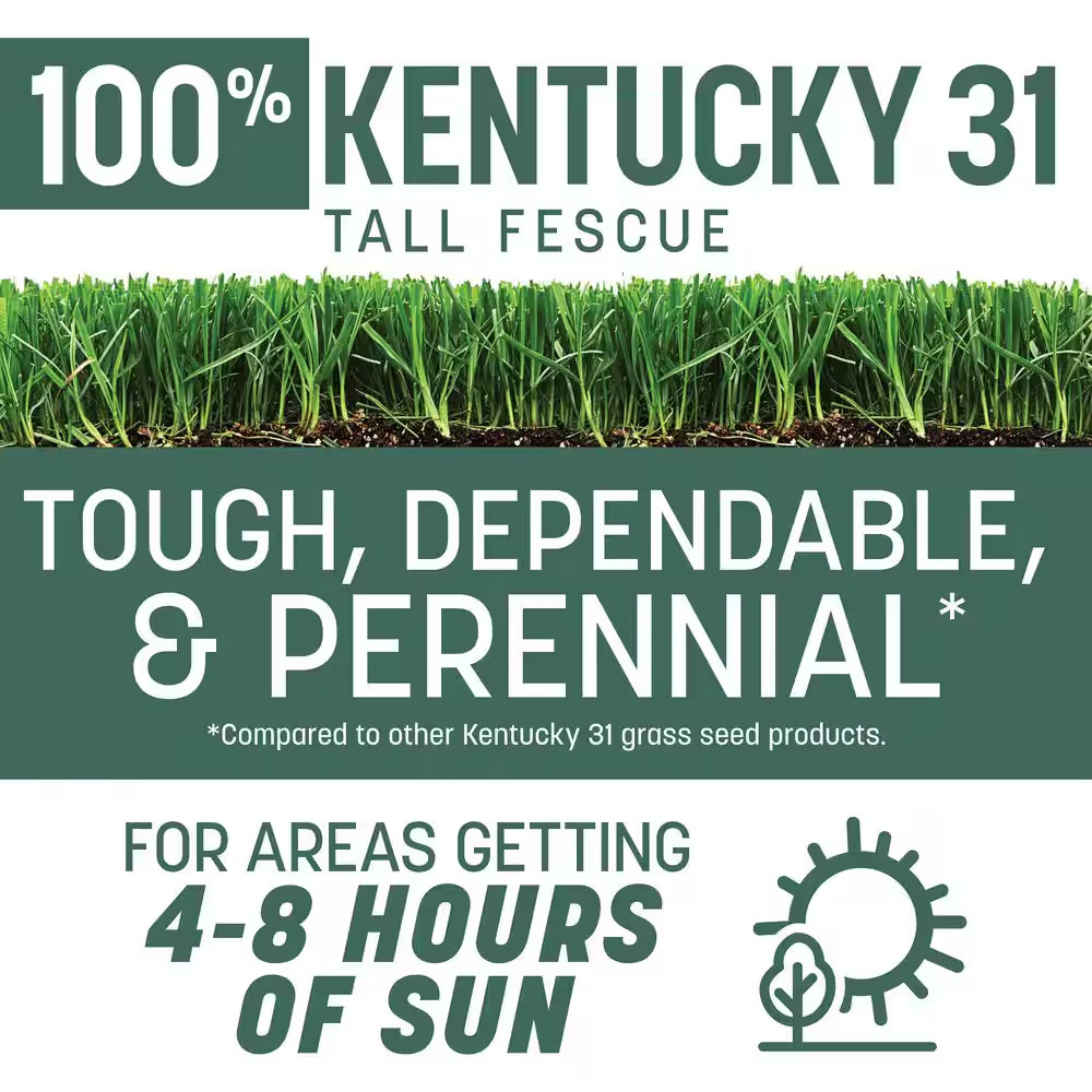 Kentucky 31-Tall Fescue Grass Seeds for Lawn 40 Lbs. 8,000 Sq. Ft. Bulk Grass Se