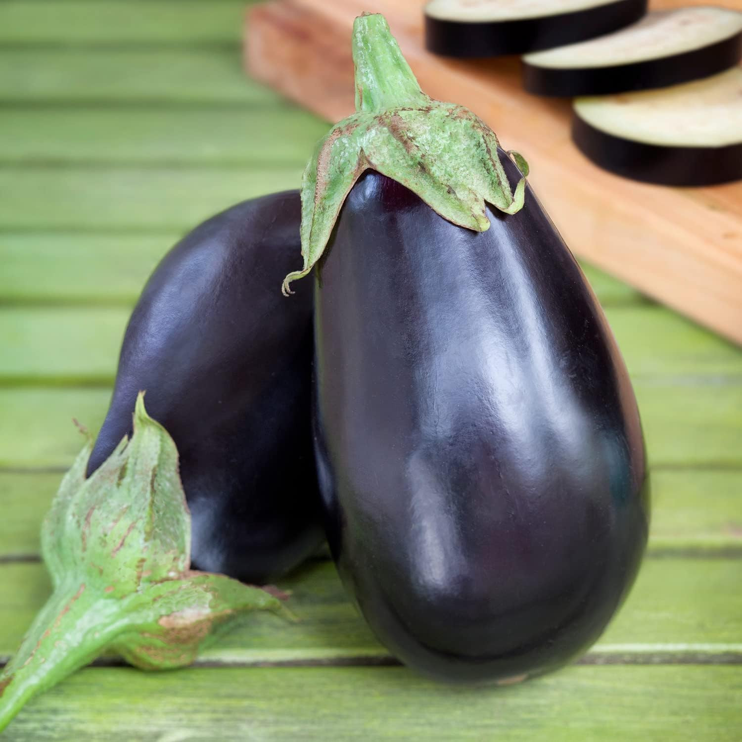 Black Beauty Eggplant – 4 Pack Live Plants, 3 – 4 Ft. Tall Plants, Classic Tear