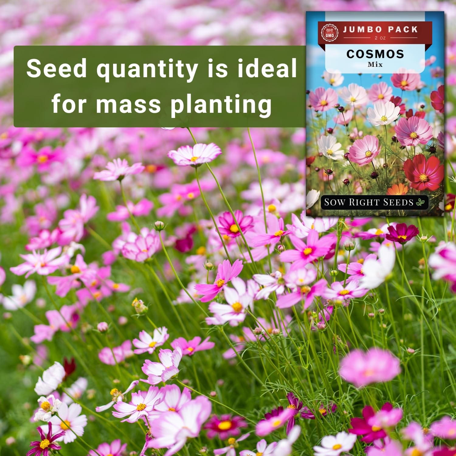 Sow Right Seeds – Bulk Crazy Cosmos Mix Seeds for Planting – 2 Ounce, 8500 Seeds