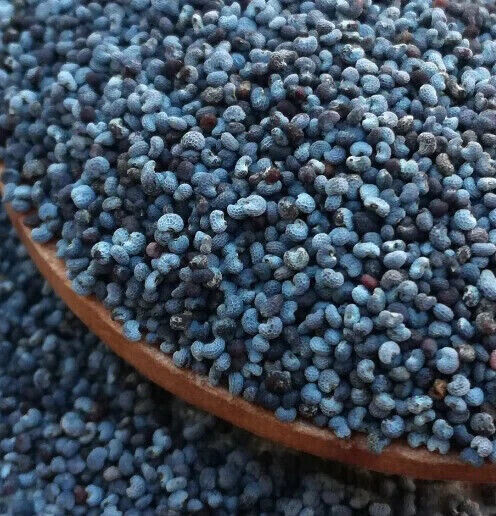 1,000 Qis Bowling Ball Poppy Seeds – The Largest P. Somniferum Poppy Fresh Seeds