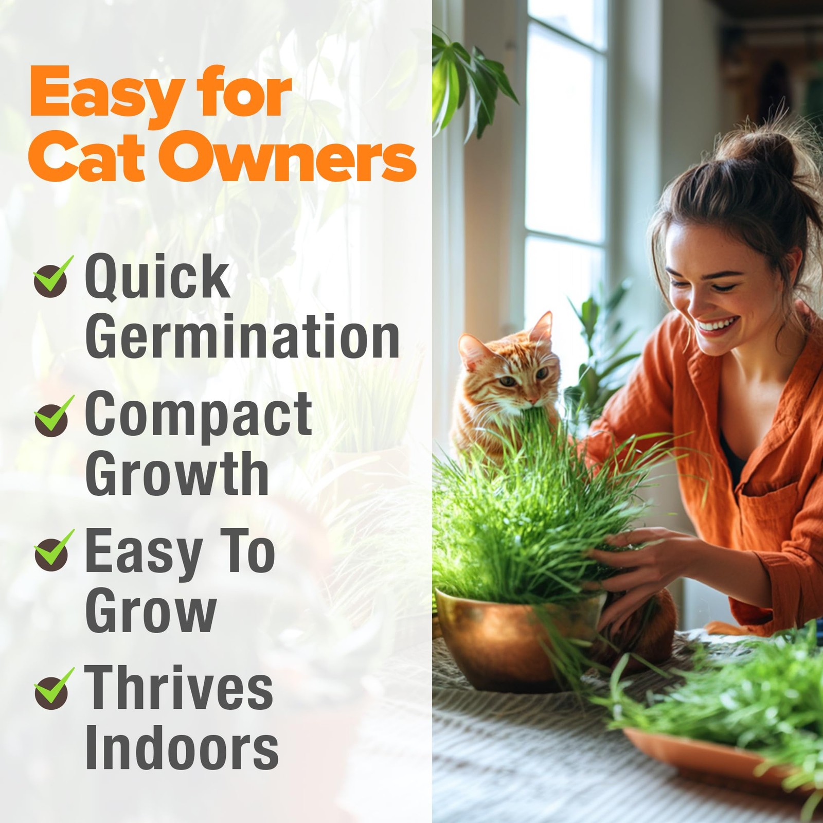 Home Grown 3200+ Indoor Cat Grass Refill – Non-GMO USA Grown Catnip, Oat & Al…