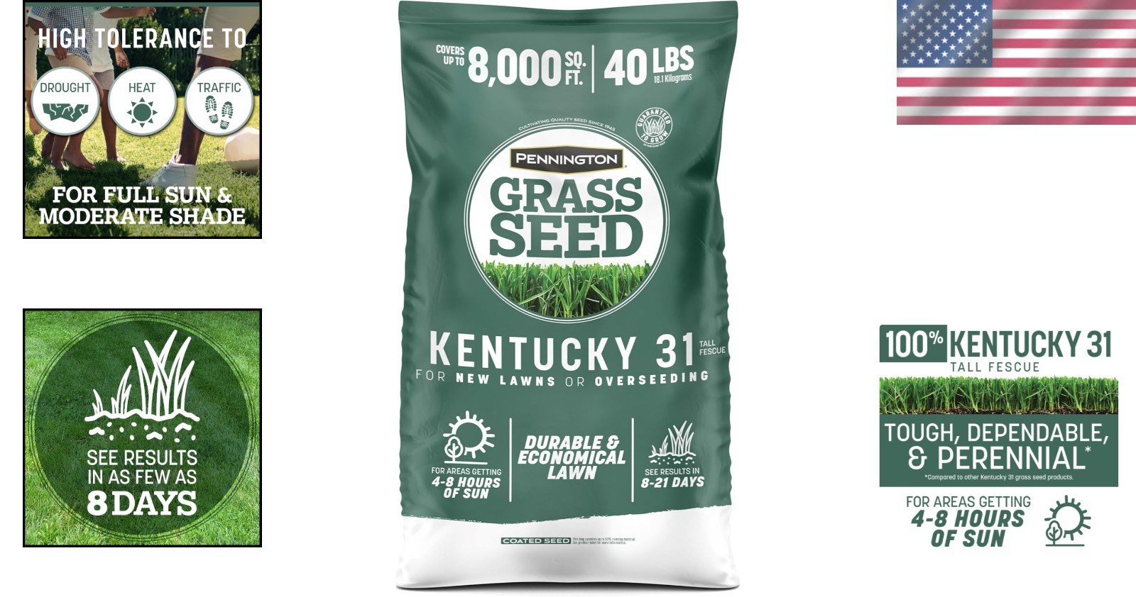 Sun & Shade Grass Seed – Kentucky 31 Tall Fescue 40 lb