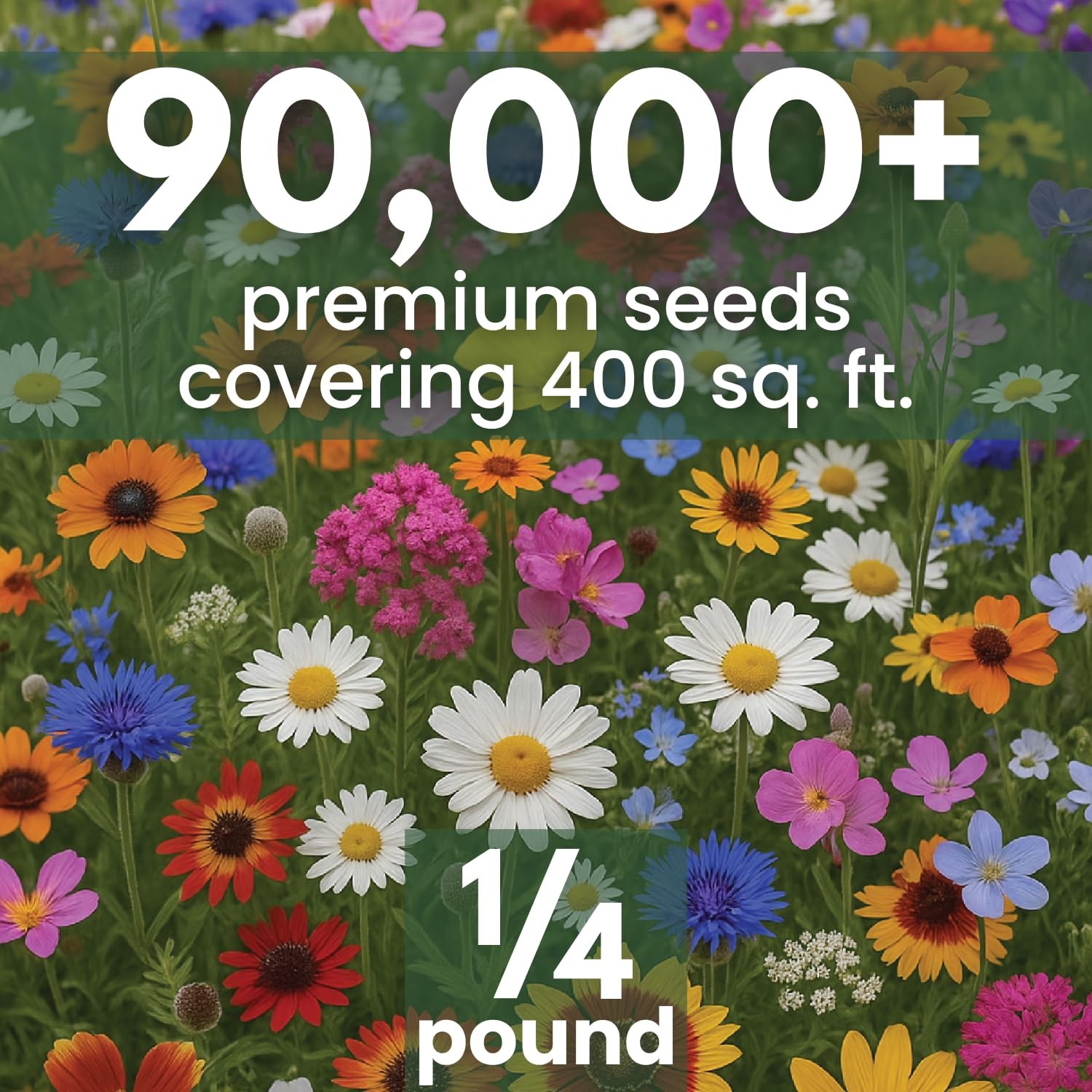 Drought Tolerant Seed Mix 90,000 Seeds for Planting 4 Ounce Pouch