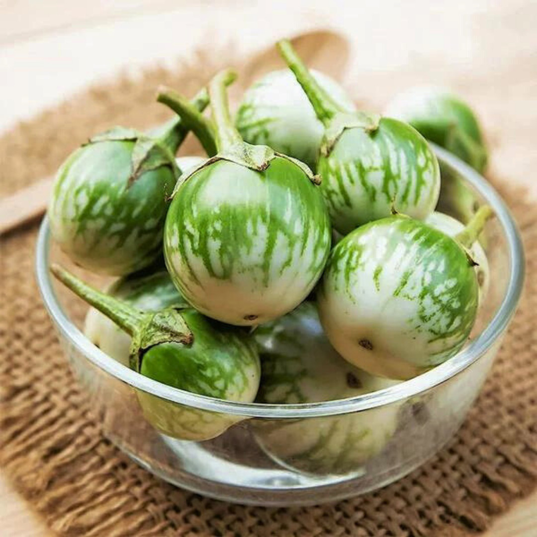Fresh Thai Eggplant Seeds | Ngai Gwa | Heirloom Non-GMO | Asian Vegetable Seeds