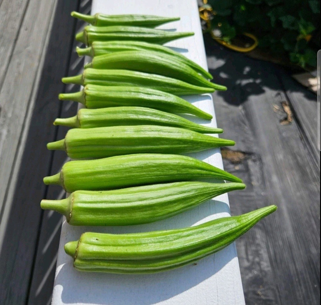 6 type of Seeds. Butternut squash, okra, Malabar Spinach,Kabocha, seminole gourd