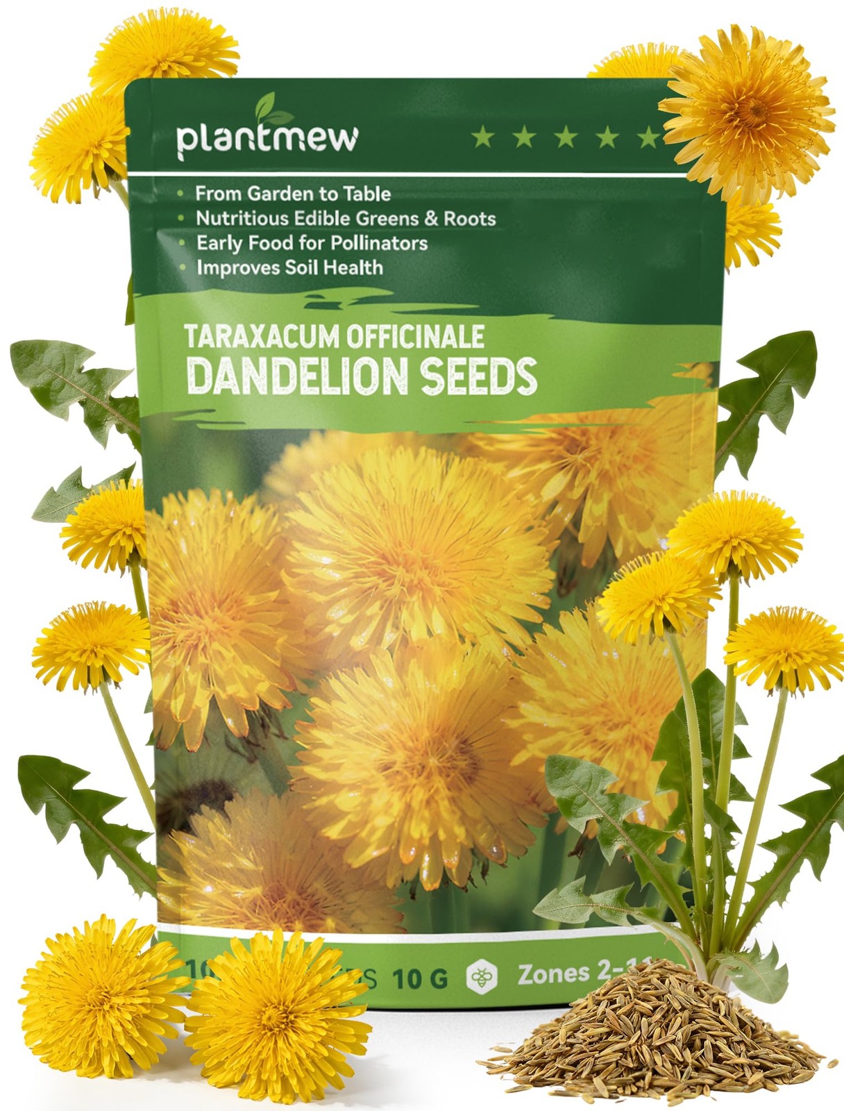 Dandelion Seeds for Planting – 4,000+ Heirloom Herb green