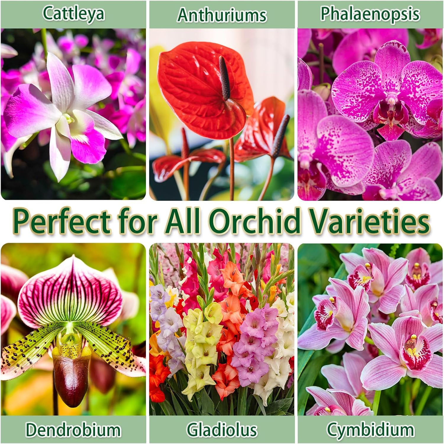 Premium Orchid Potting Mix for Repotting,1 Quart Orchid Soil for Various Orchid