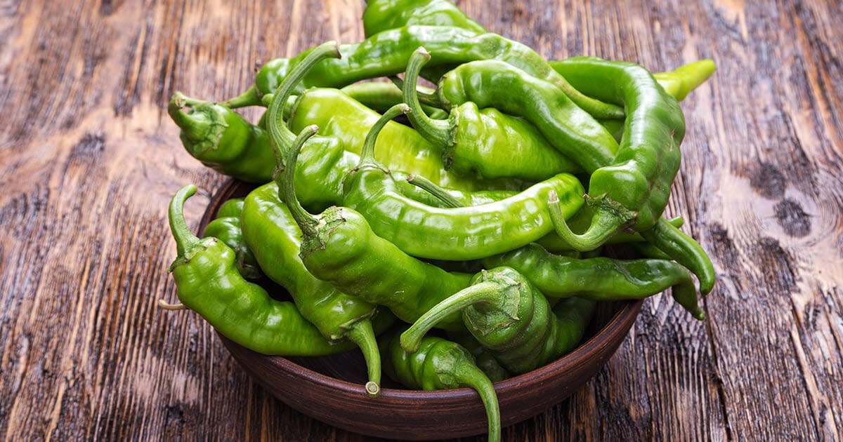 Nuevo Mexico Chili Pepper Seeds (15) / ORGANIC / FLORIDA GROWN / MEXICAN CUISINE