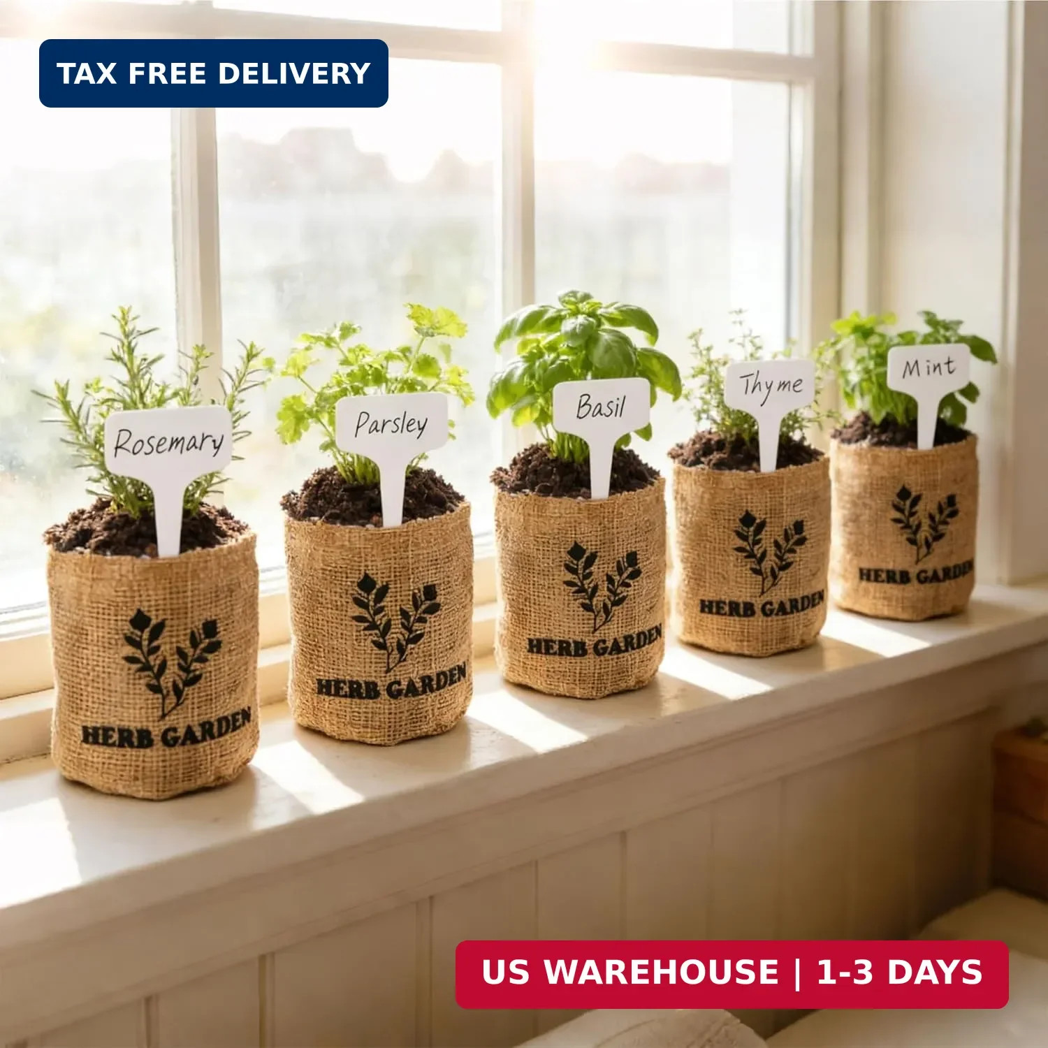 Meekear 5 Herb Indoor Starter Kit, Complete Planting Set for Kitchen Herb Garden