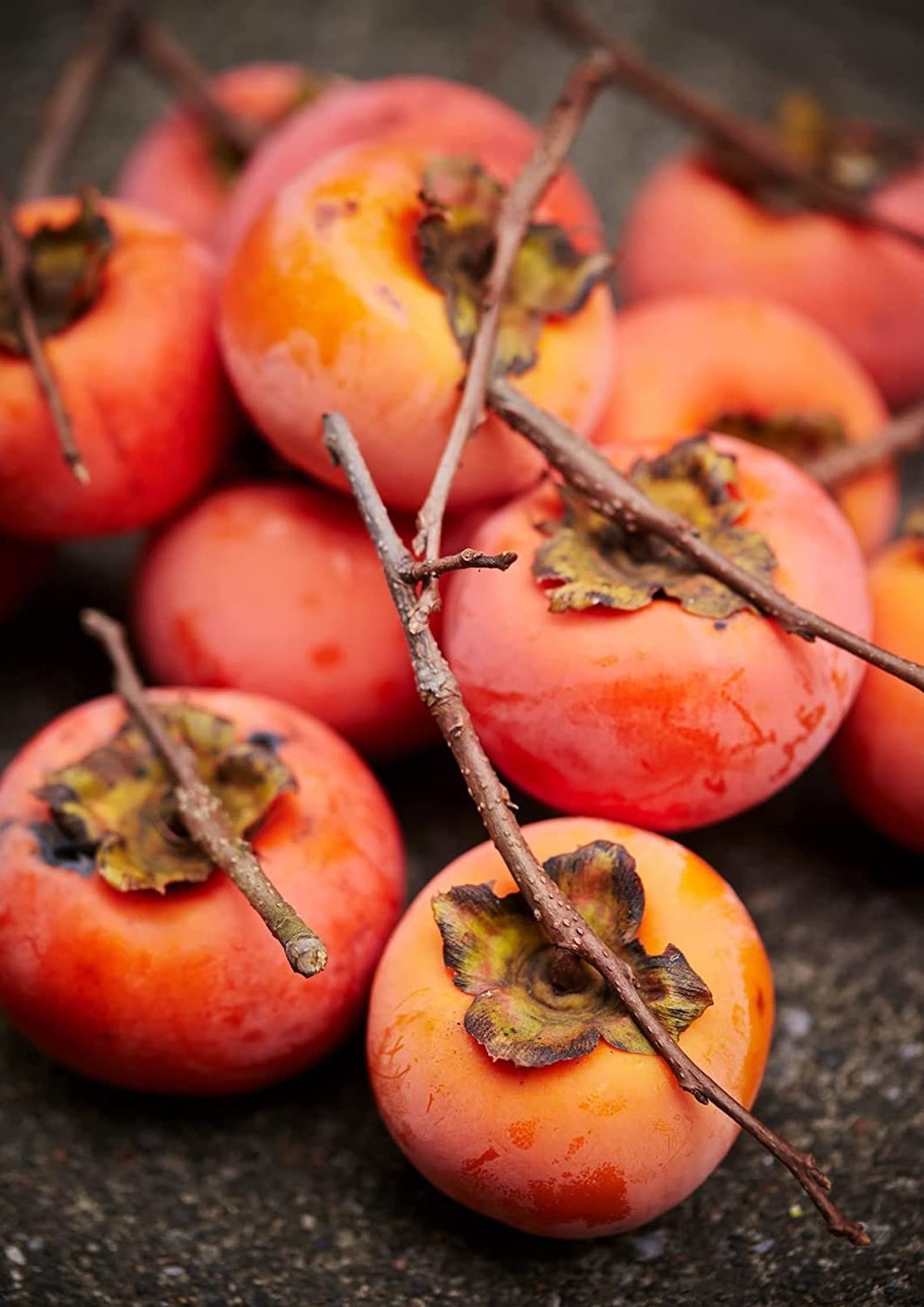 Persimmon Tree Seeds – 50 Seeds – Made in USA, Ships from Iowa – Popular Outdoor