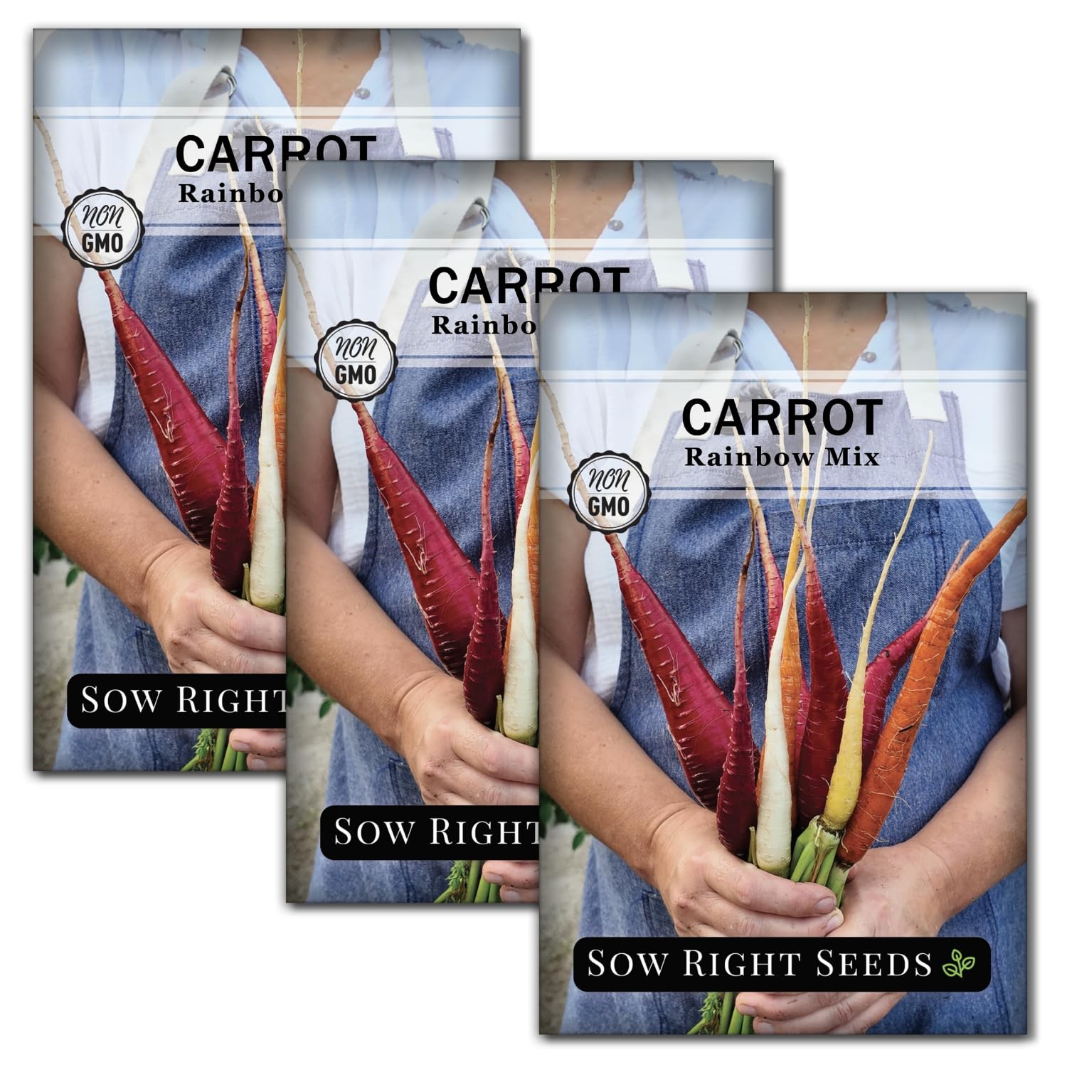 Rainbow Carrot Seeds – Non-GMO Heirloom Mix for Colorful Home Garden Planting