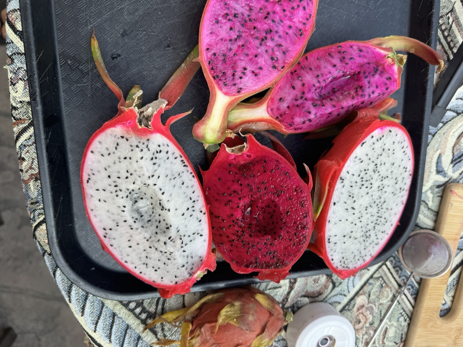 2 Dragon Fruit cuttings 8-12 inches long check The Description ￼ ￼